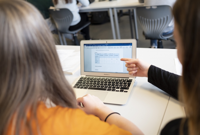 Foto av to elevar som ser på og diskuterer eit skjermbilete på ein av dei sin PC - elev hjelpar elev.